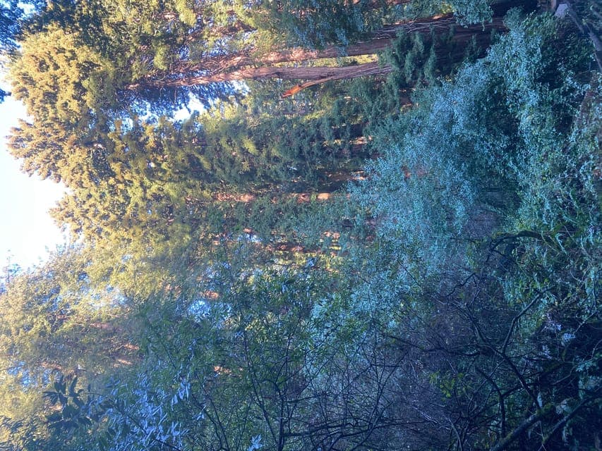 undefined Gallery Image 4