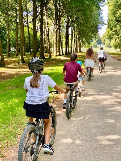 undefined Gallery Image 4