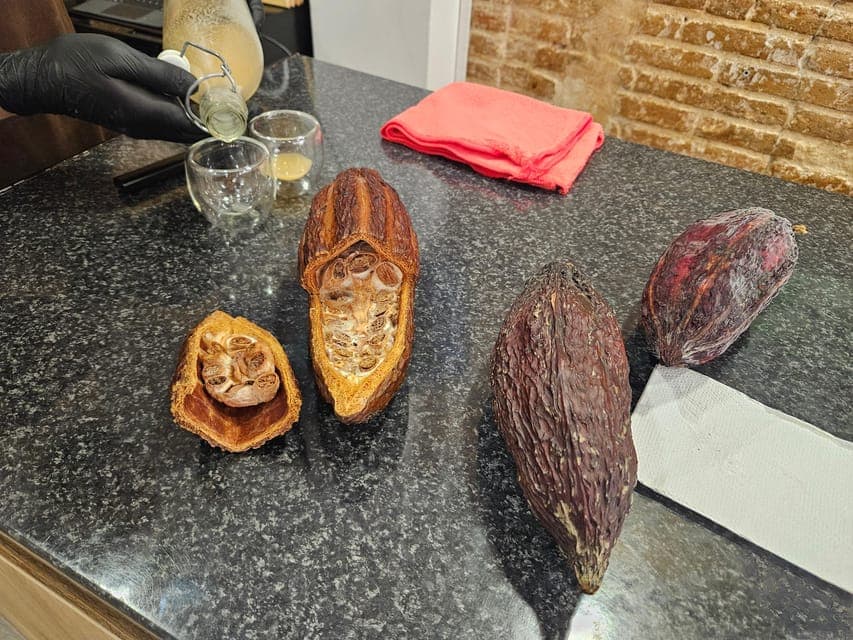 undefined Gallery Image 1