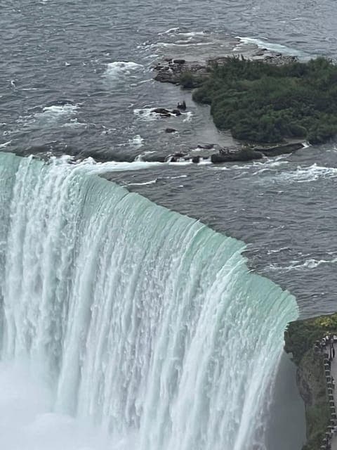 undefined Gallery Image 4