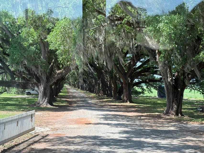 undefined Gallery Image 1