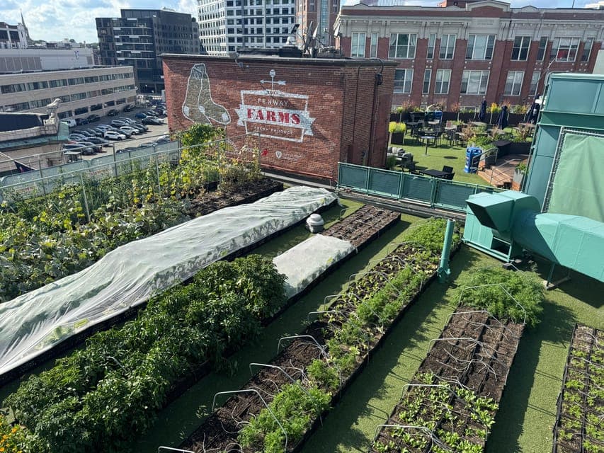 undefined Gallery Image 2