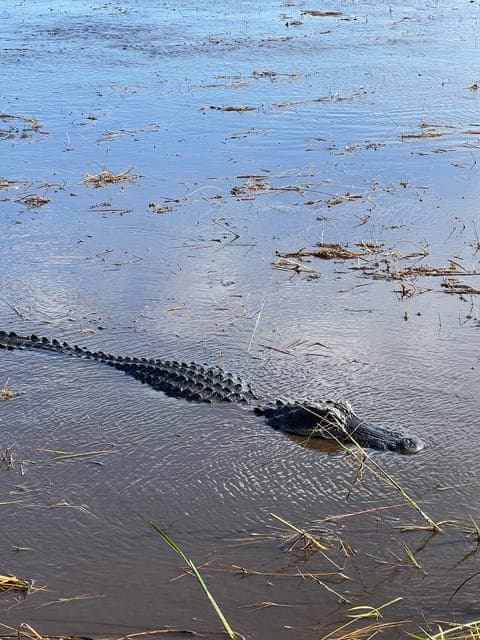 undefined Gallery Image 3