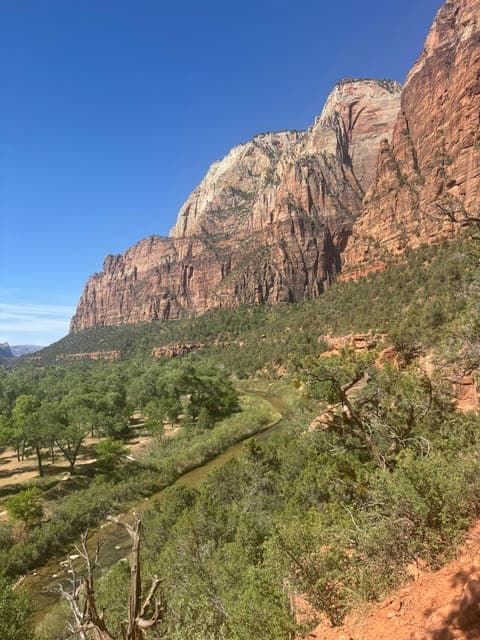 undefined Gallery Image 3