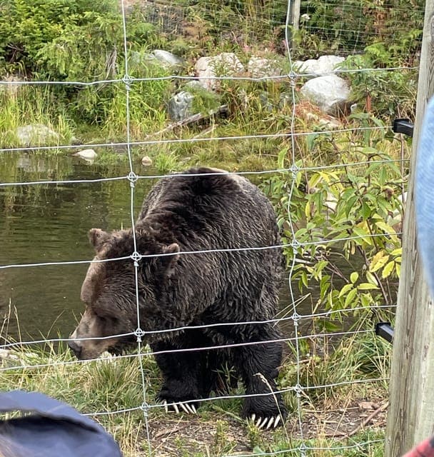 undefined Gallery Image 3