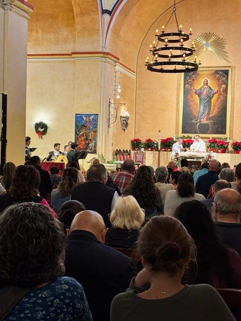 undefined Gallery Image 4