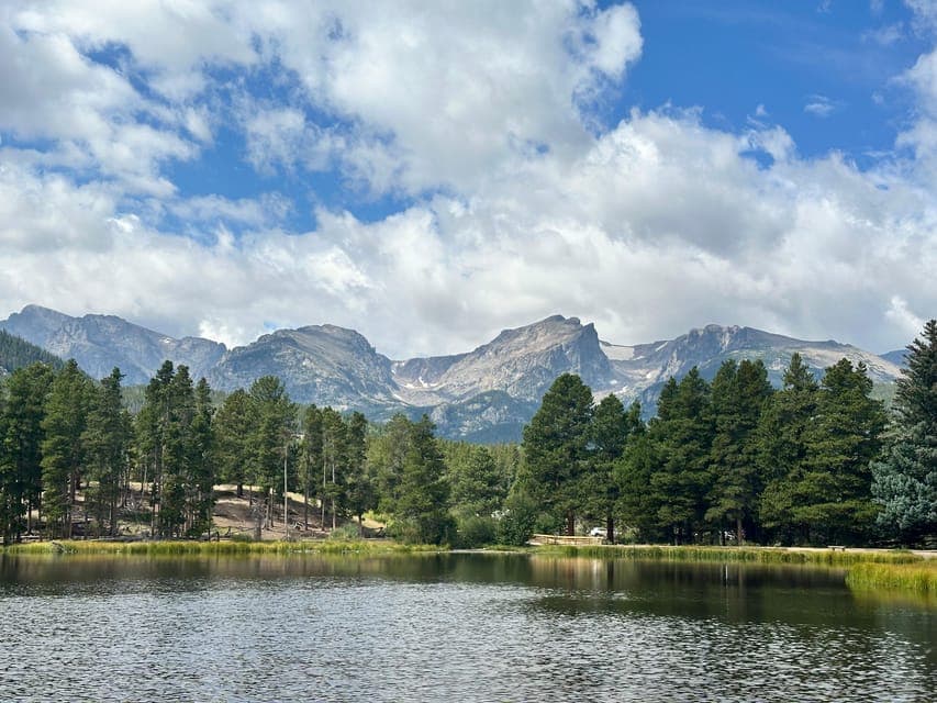 undefined Gallery Image 2