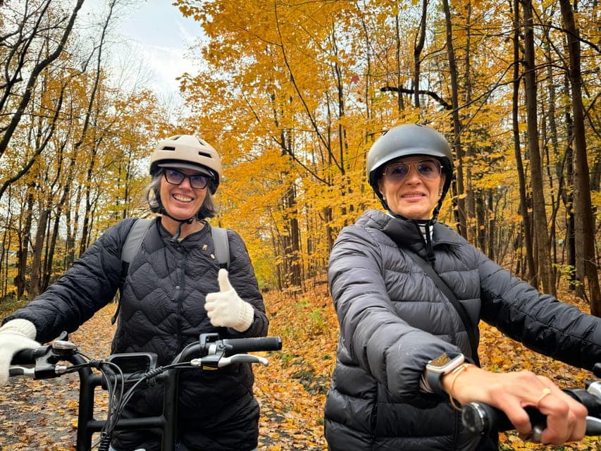 undefined Gallery Image 4