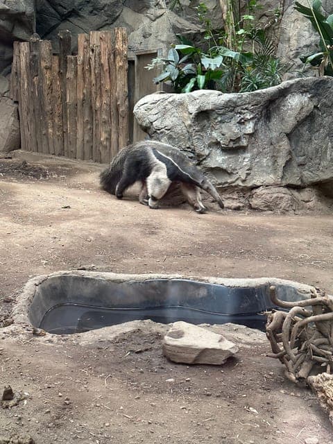 undefined Gallery Image 2