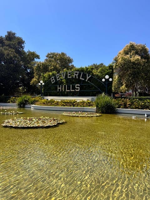 undefined Gallery Image 4