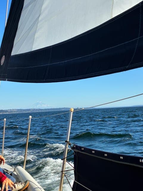 undefined Gallery Image 2