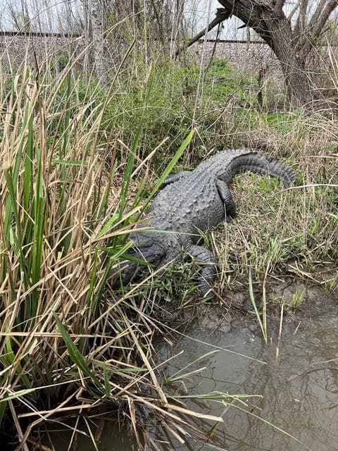 undefined Gallery Image 2