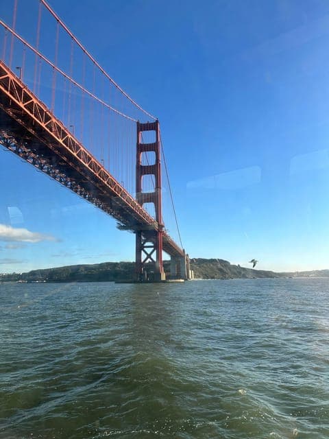 undefined Gallery Image 1