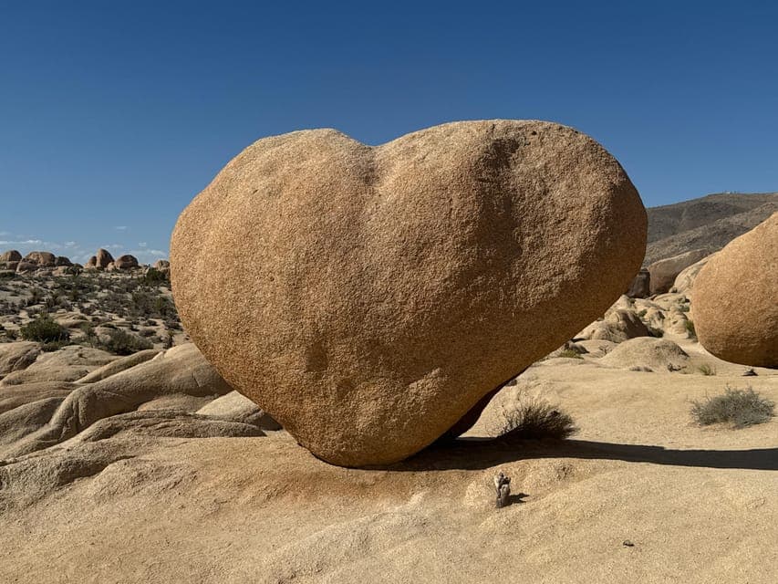 undefined Gallery Image 1