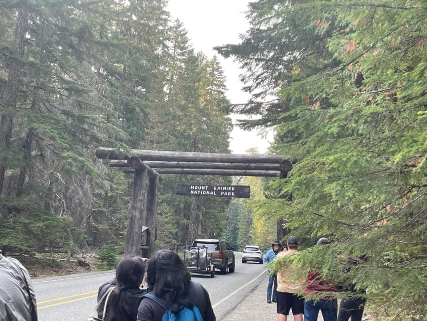 undefined Gallery Image 4