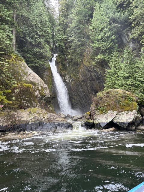 undefined Gallery Image 1