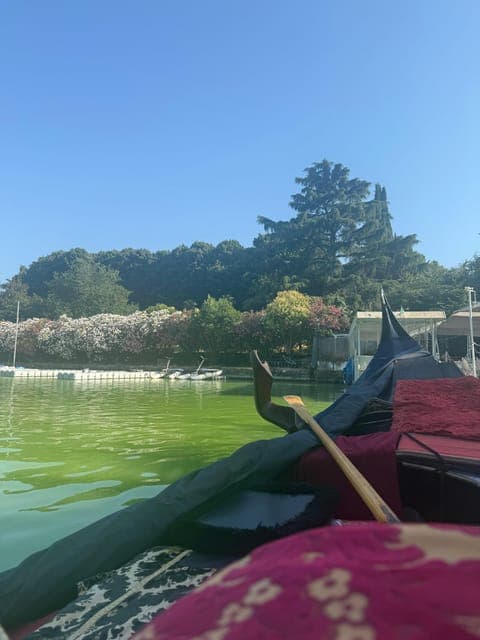 undefined Gallery Image 1