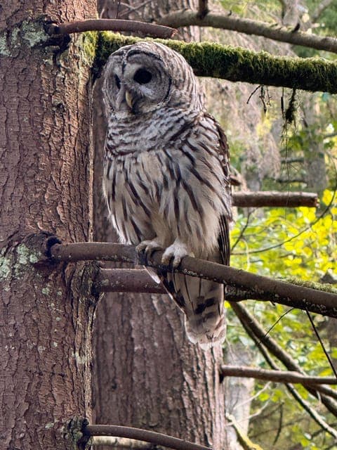 undefined Gallery Image 3