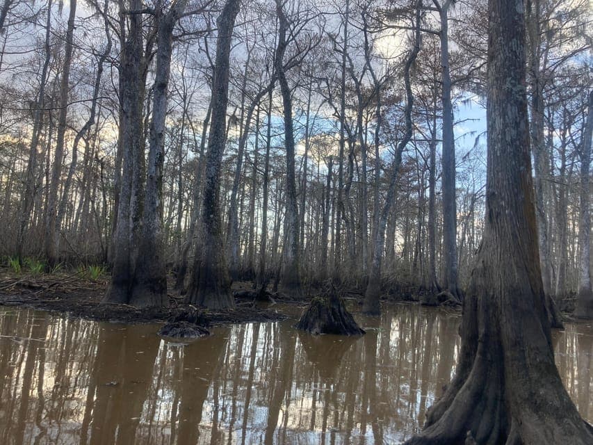 undefined Gallery Image 2