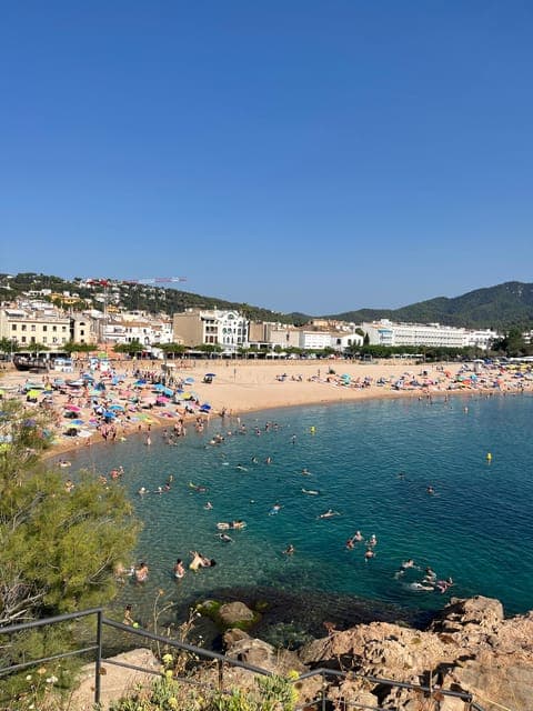 undefined Gallery Image 2