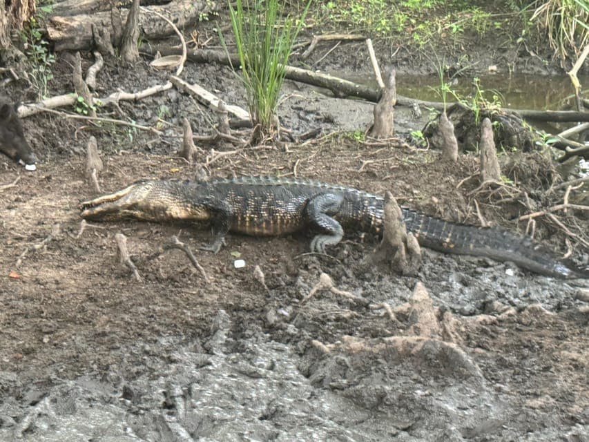 undefined Gallery Image 4