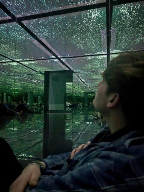 undefined Gallery Image 1