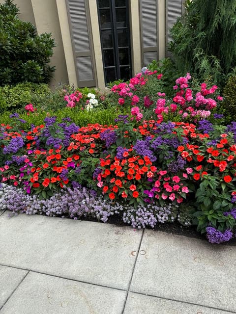 undefined Gallery Image 2