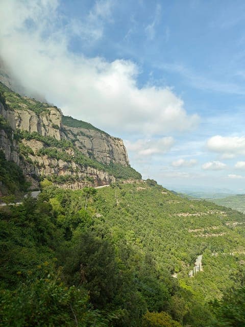 undefined Gallery Image 3