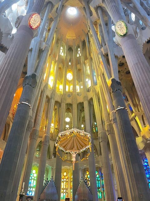 undefined Gallery Image 4