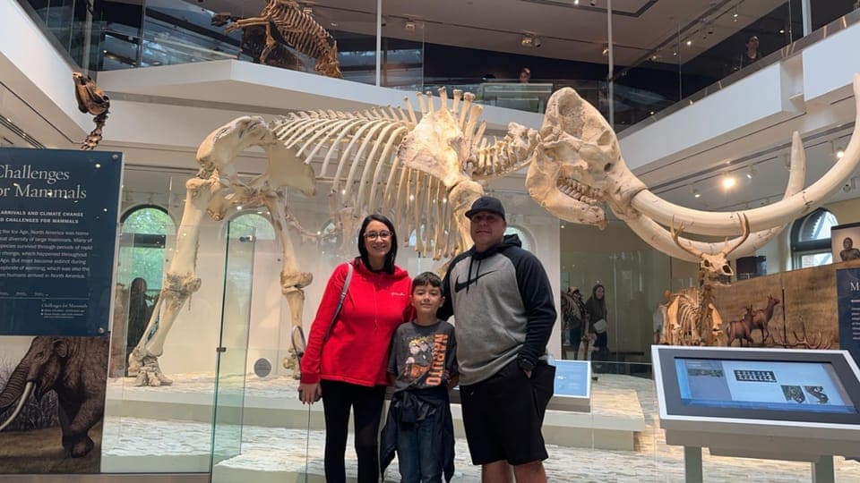 undefined Gallery Image 3