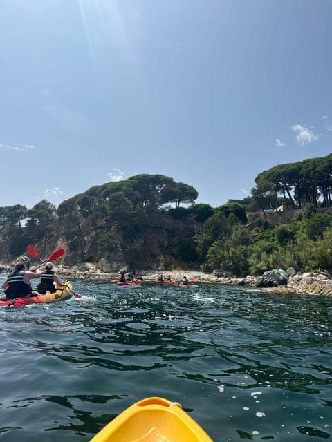 undefined Gallery Image 4