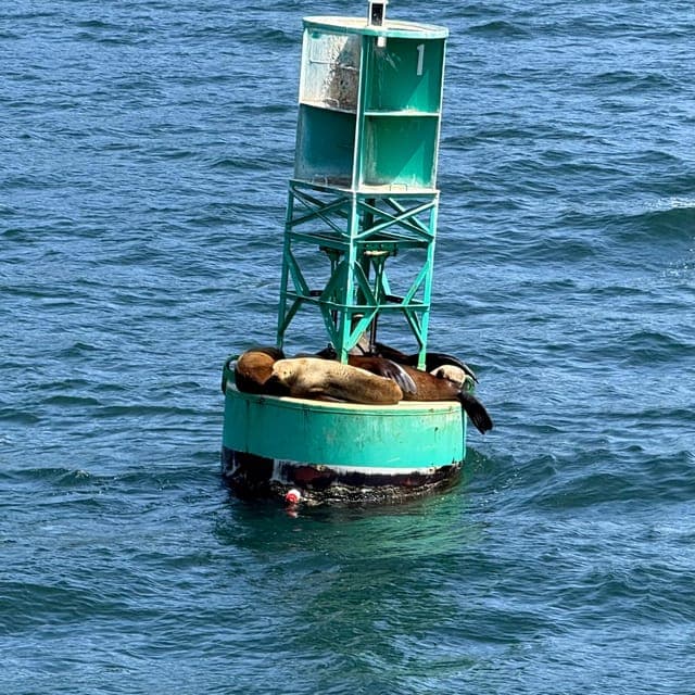 undefined Gallery Image 3