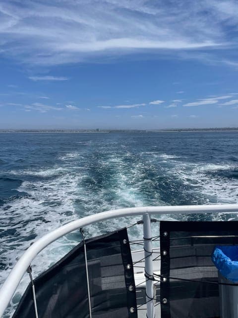 undefined Gallery Image 4