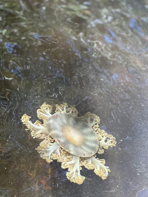 undefined Gallery Image 3