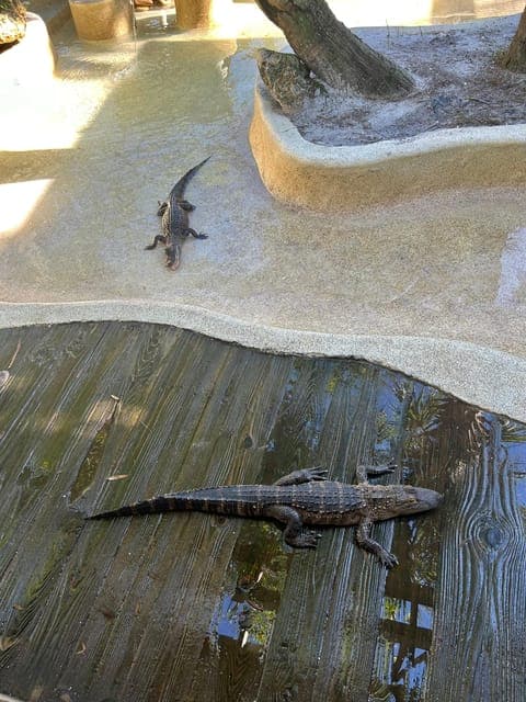 undefined Gallery Image 1