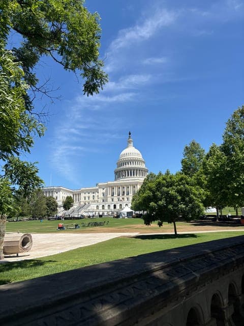 undefined Gallery Image 4