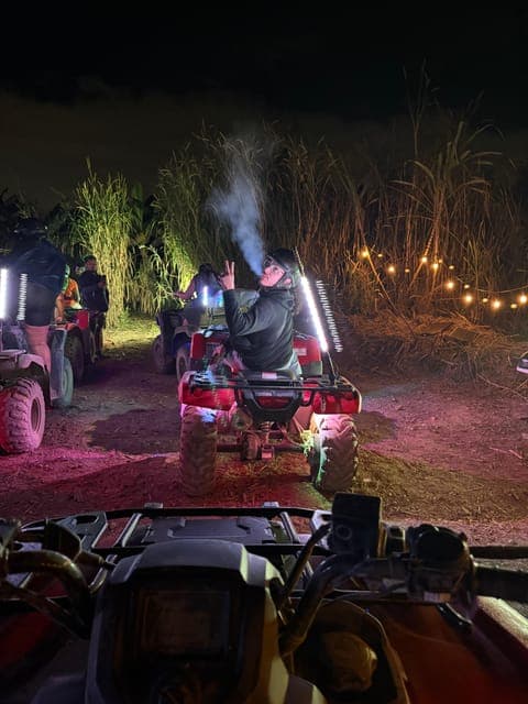 undefined Gallery Image 1