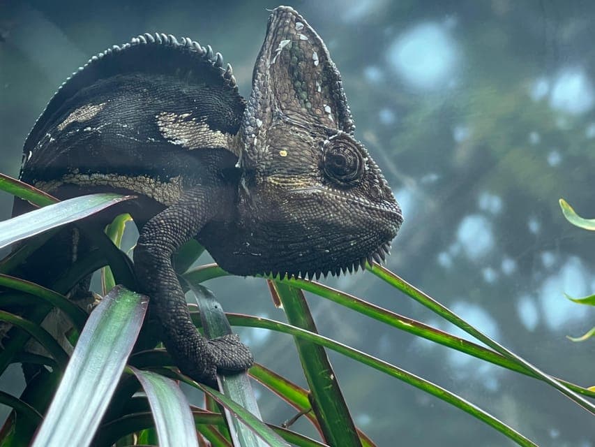 undefined Gallery Image 1