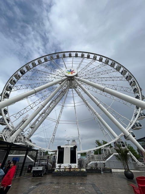 undefined Gallery Image 4