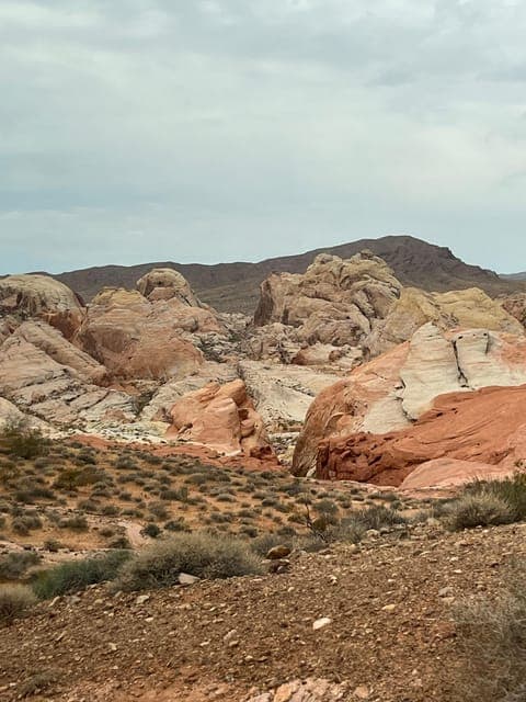 undefined Gallery Image 3