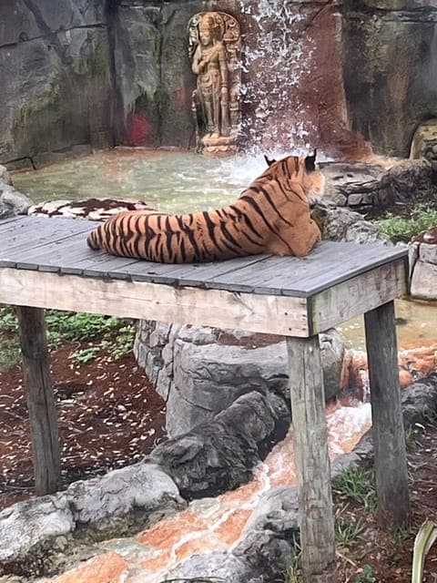 undefined Gallery Image 3