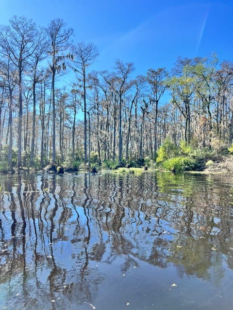 undefined Gallery Image 4