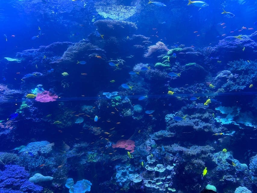 undefined Gallery Image 1