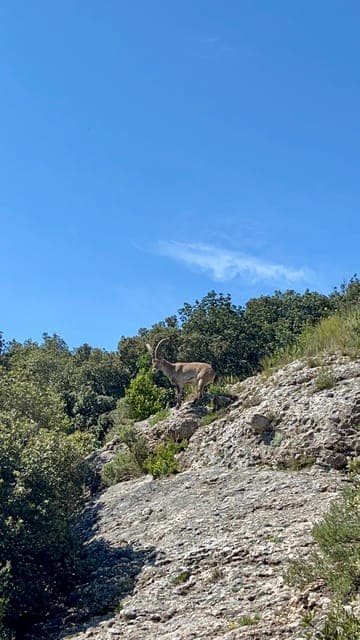 undefined Gallery Image 1