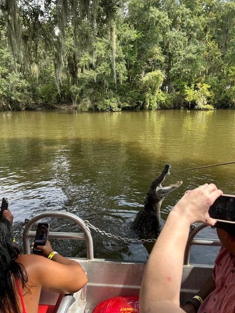 undefined Gallery Image 4