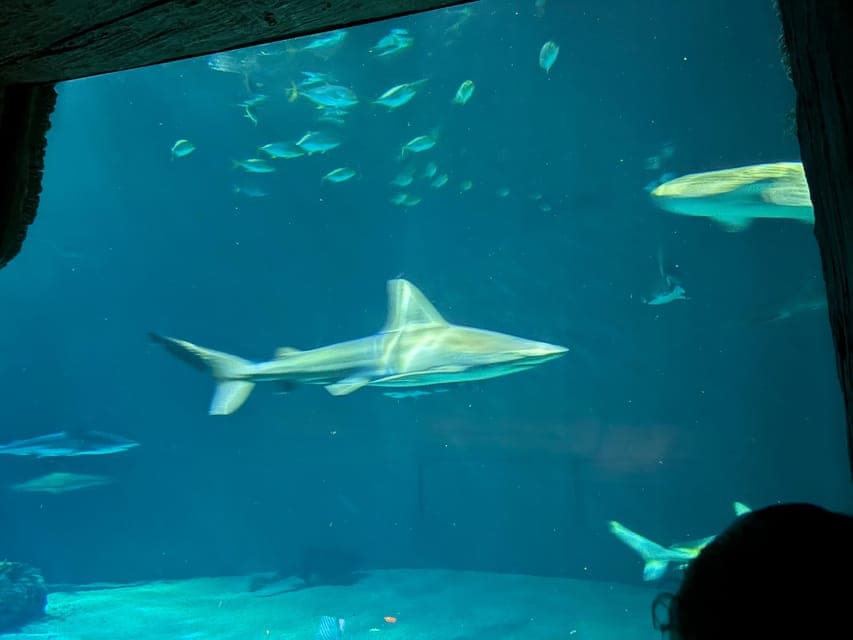 undefined Gallery Image 2