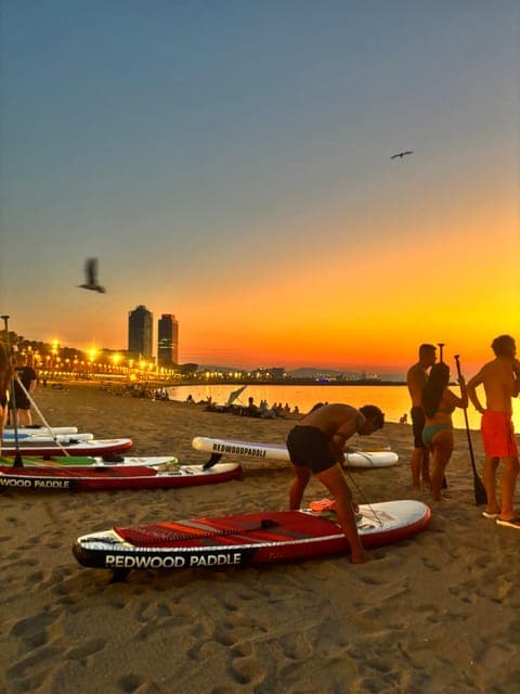 undefined Gallery Image 3