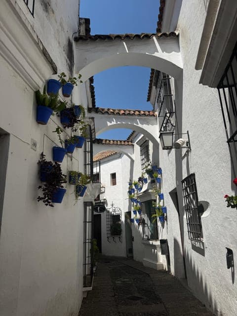 undefined Gallery Image 3