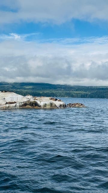 undefined Gallery Image 4