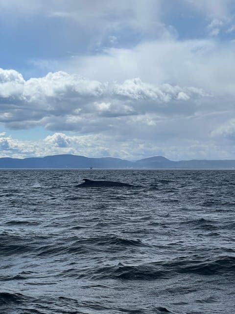 undefined Gallery Image 4